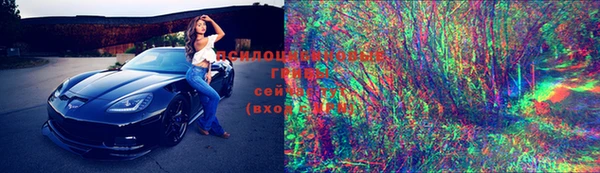 соль ск Новозыбков