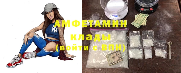 соль ск Новозыбков