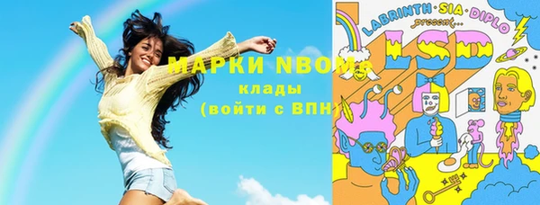 соль ск Новозыбков