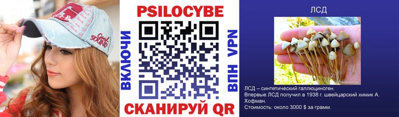 Галлюциногенные грибы Psilocybe  кракен вход  Саратов 
