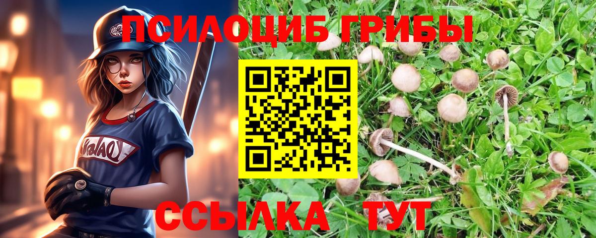 Псилоцибиновые грибы ЛСД Саратов