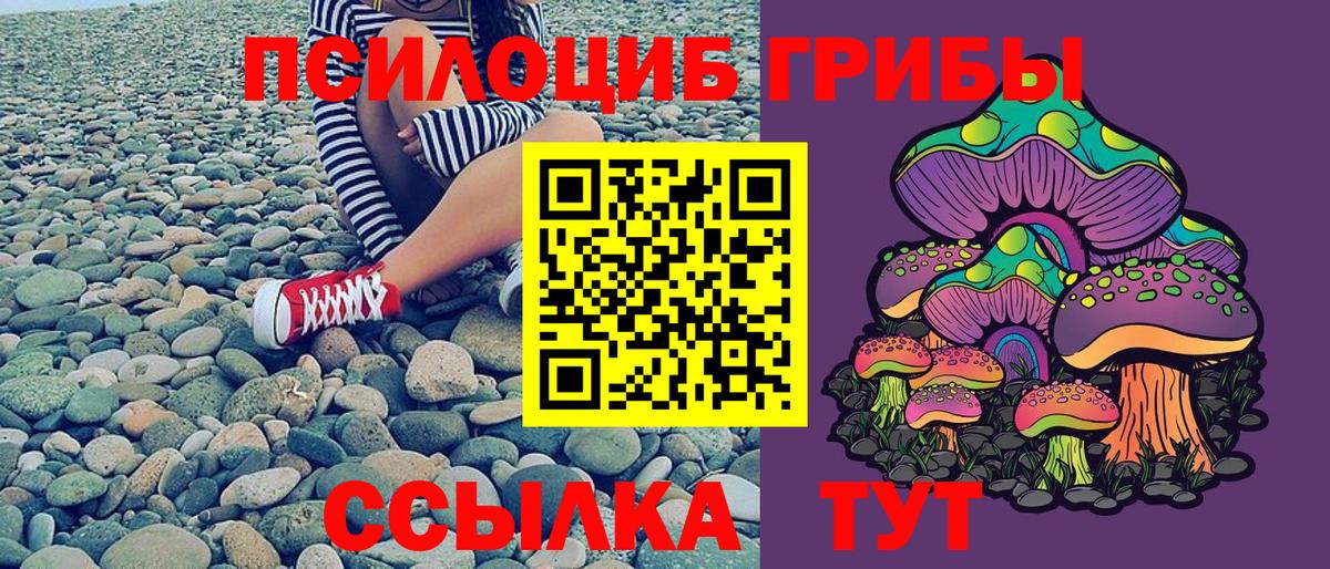 Саратов  Псилоцибиновые грибы Magic Shrooms  Вход с VPN  Галлюциногенные грибы Magic Shrooms 